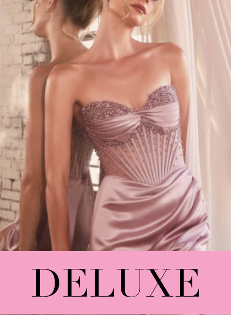 DELUXE CARE - Professionelle Reinigung für Abendkleid